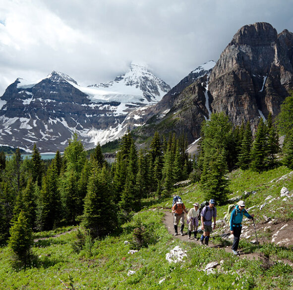 Guided Hiking