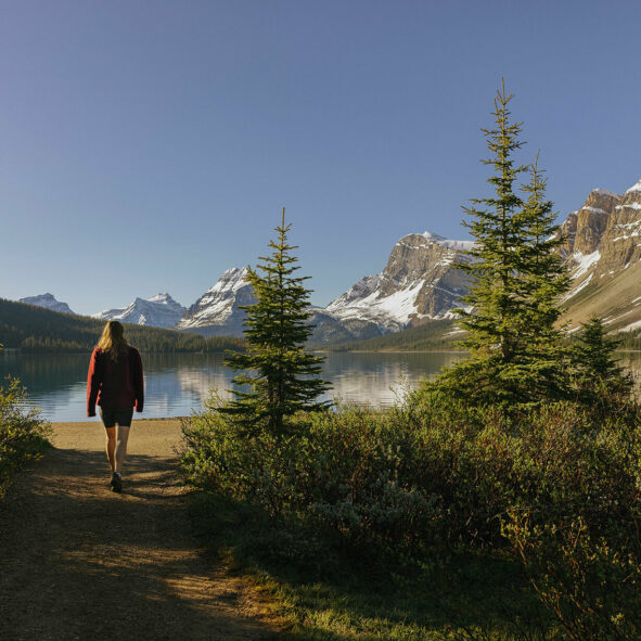 Mountain Adventures