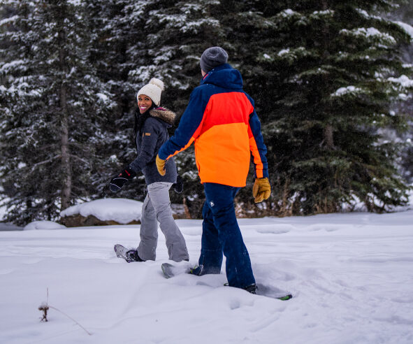 Snowshoeing Tours